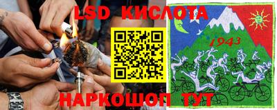ПСИЛОЦИБИНОВЫЕ ГРИБЫ Аргун