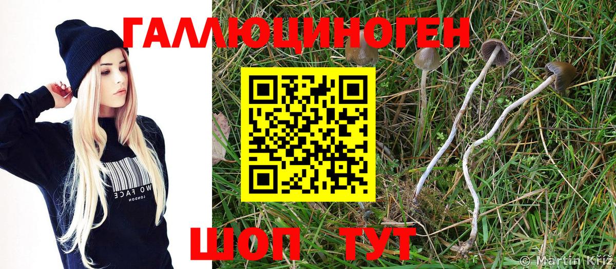 МАРИХУАНА  Выборг  КОКАИН  МЕФ   Экстази  Вход с VPN  ГАШ 
