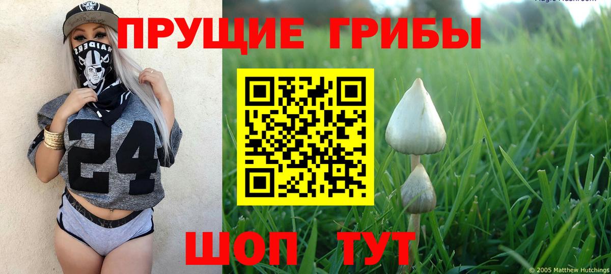 Галлюциногенные грибы прущие грибы  Вход с VPN  наркота  Выборг 